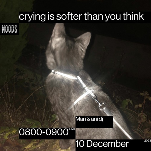 Noods Radio #9 - crying is softer than you think - Mari & ani dj (10/12/23)