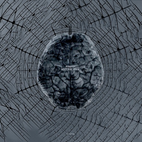 Premiere CF: PFROPF — Ancient Noise [Hxagrm Records]