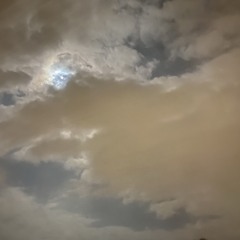 Dead_Wrong_Prod_hide4way