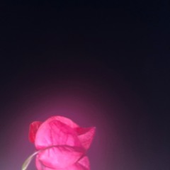 where'd all the time go? [sped up]