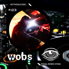 Introducing... Guest Mix #123 woɓs