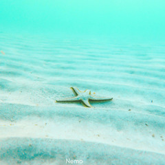 STARFISH
