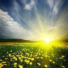 Lisa P - Bring Me Sunshine Trance Mix (May 2025)