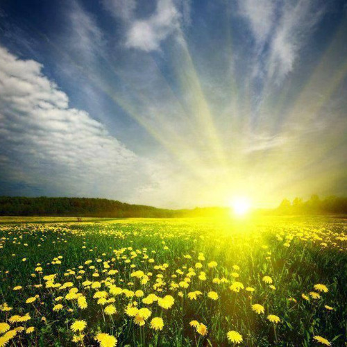 Lisa P - Bring Me Sunshine Trance Mix (May 2025)