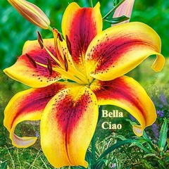 Bella Ciao (Goodbye Beautiful)