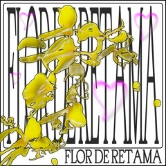 FLOR DE RETAMA X K1000o