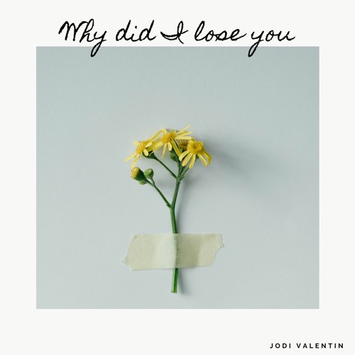 Why Did I Lose You