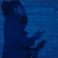 They not ( video on YouTube )