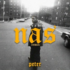 NAS - Life's a Bitch ft. AZ (Peter Remix)
