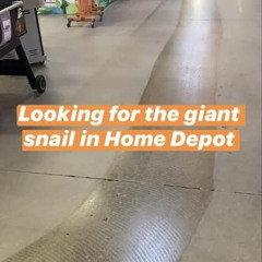 Talking about the immortal snail in a Home Depot aisle