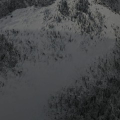 AXEBREAKER - The Iconography of the Martyr [TE0039]