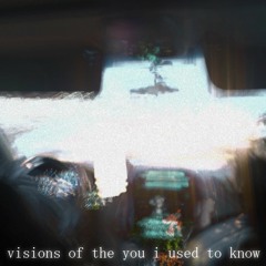 visions of the you i used to know