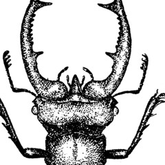 massiveattack-angel-2-21-2025