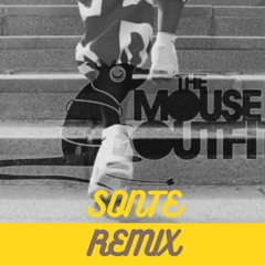 The Mouse Outfit Ft. IAMDDB & Fox - " I Wonder " Sonte Remix
