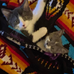 y0sh1’s tapez 01: thinking ab U