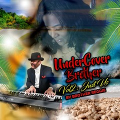 UnderCover Brother Vol. 2: Just Us