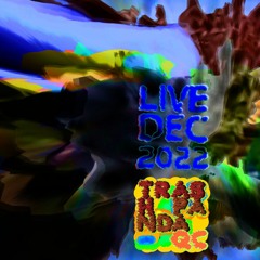 Trash Panda QC DJ Set + Live Set - 12152022