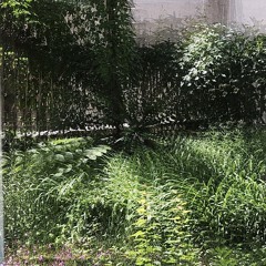 0824 life of plants