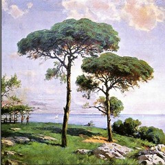 ÇALIKUŞU Kanun İcrası