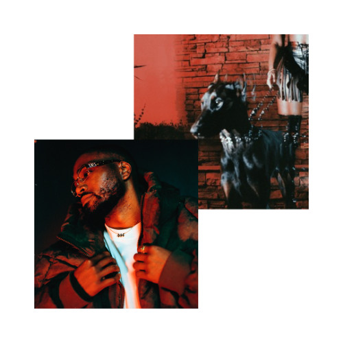 VIBES DON'T LIE REMIX
