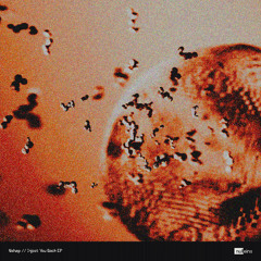PREMIERE: Nohap - Inject You Back [NULLD04]