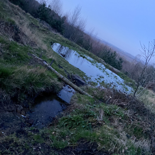 Everybody Dies in Their Nightmares remix