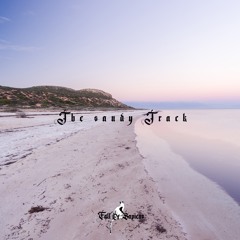 The sandy track