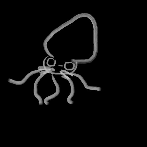 Squid