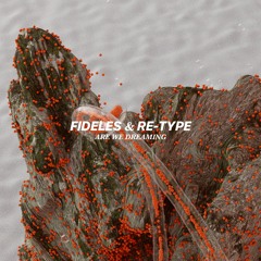 Fideles, Re-Type - Are We Dreaming