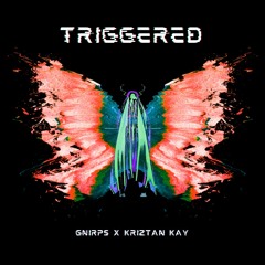 gnirps & Kriztan Kay - Triggered