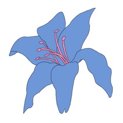사랑하는 비밀번호 486