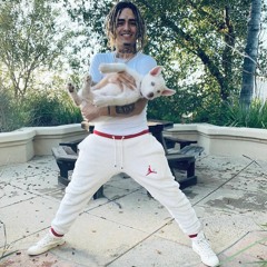 Walkin Your Dog Blasting Lil Pump