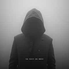 La nuit je mens (Alain Bashung Cover)