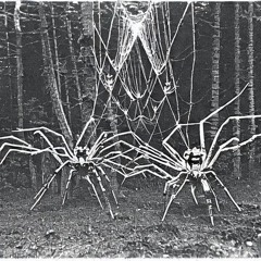 ARACHNOPHOBIA