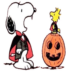 sscream (⊙,..,☉;)