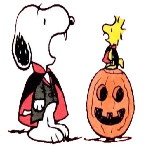 sscream (⊙,..,☉;)