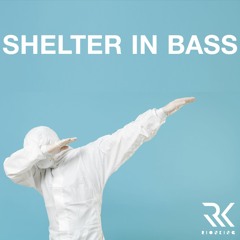Shelter In Bass