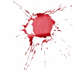 solace screamo band nyc first show