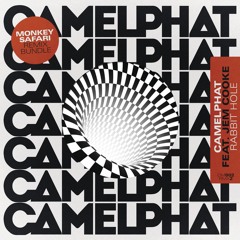 Rabbit Hole (Monkey Safari's Claps of Life Mix)