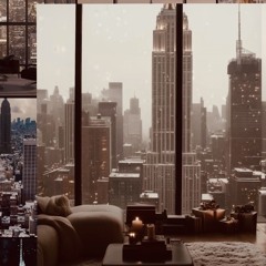 Manhattan Window Views