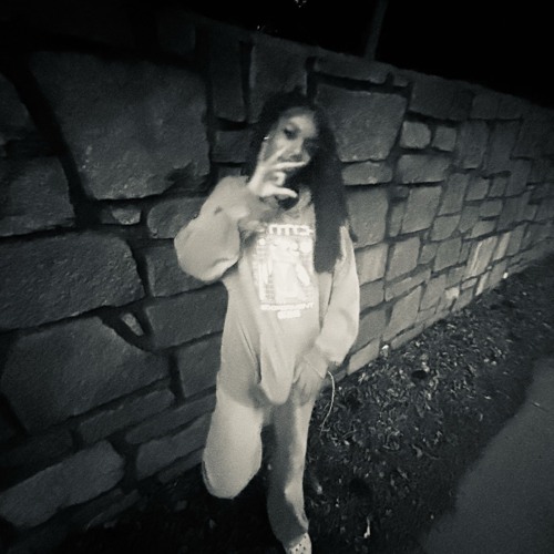 Program - (prod. Arxhivee)