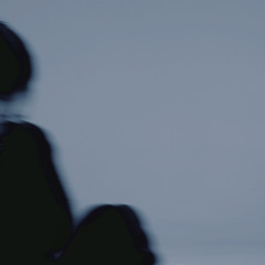 이 노래가 (Feat. 추서준) (Prod. PELXO)