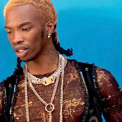 lancey foux-won’t stop ft. leomieanderson (melo version)