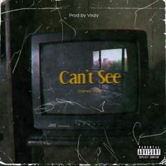 Can’t See ft. Vixzy