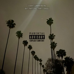 i dont wanna be me, but thats all that i know (DEMO) (prod. homesick nick)