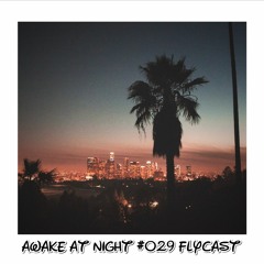 Awake at Night Podcast #029 Flycast