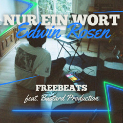 Nur ein Wort - Edwin Rosen (Tekk Remix) Feat. Bastard Production