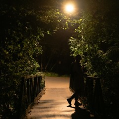 I'm Green Joshua McBride and DJ Howie Choe Remix Oct. 2024