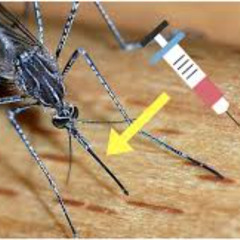 The needle will only hurt like a mosquito bite