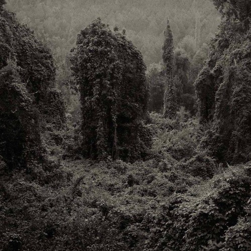 We All Need Healing (prod. Judahhex)